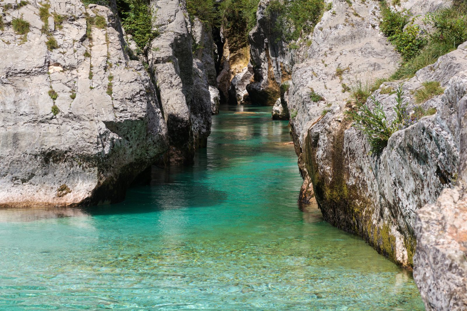 Soseda je navdušeno pripovedovala, kako so šli v Bovec na odklop za vikend