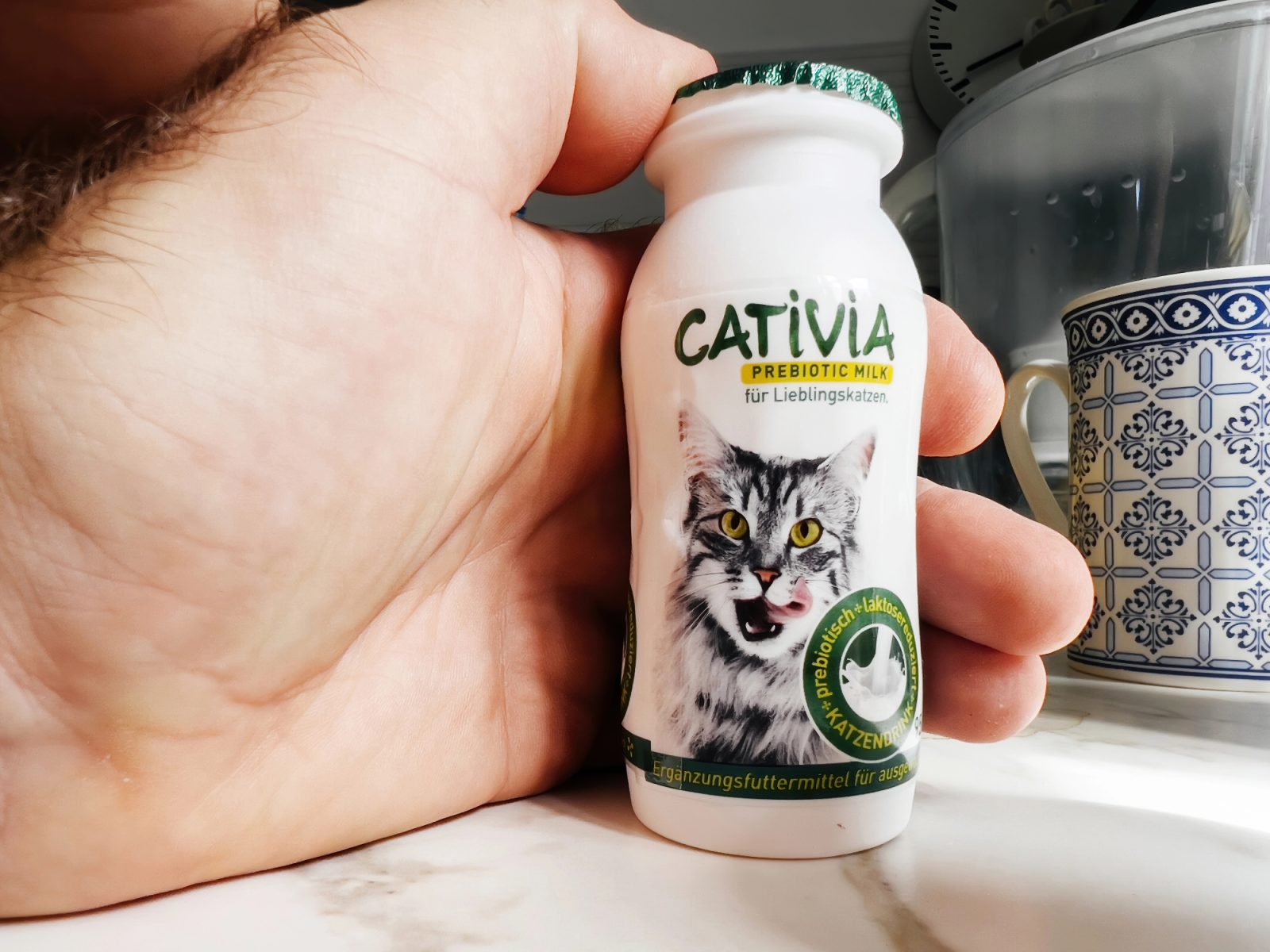 Danes je probiotik za mačko že skoraj nujen dodatek prehrani